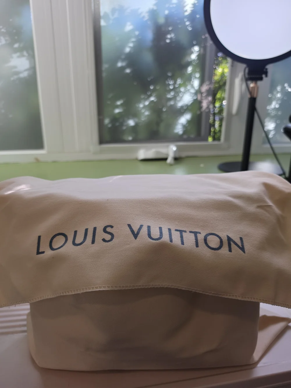 Louis Vuitton this louis